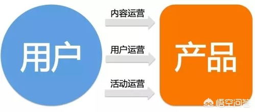 大學專業(yè)選擇指南 數(shù)字內(nèi)容制作服務與互聯(lián)網(wǎng)運營
